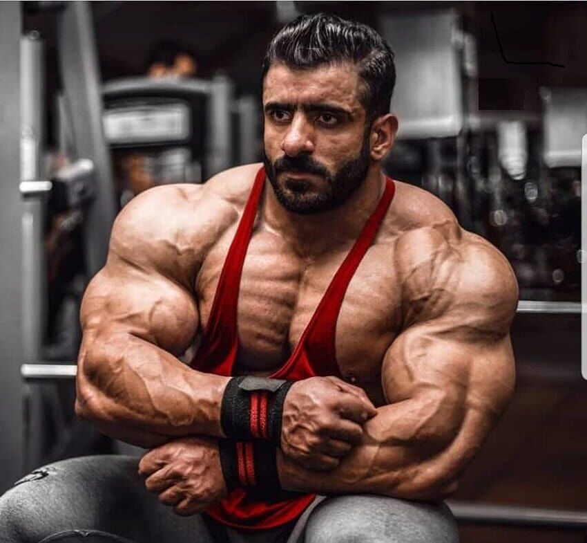 هادی چوپان والپیپر 
