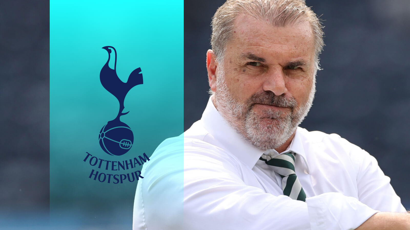 wallpaper hd Ange Postecoglou