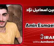 بیوگرافی امین اسماعیل‌نژاد - Amin Esmaeilnezhad