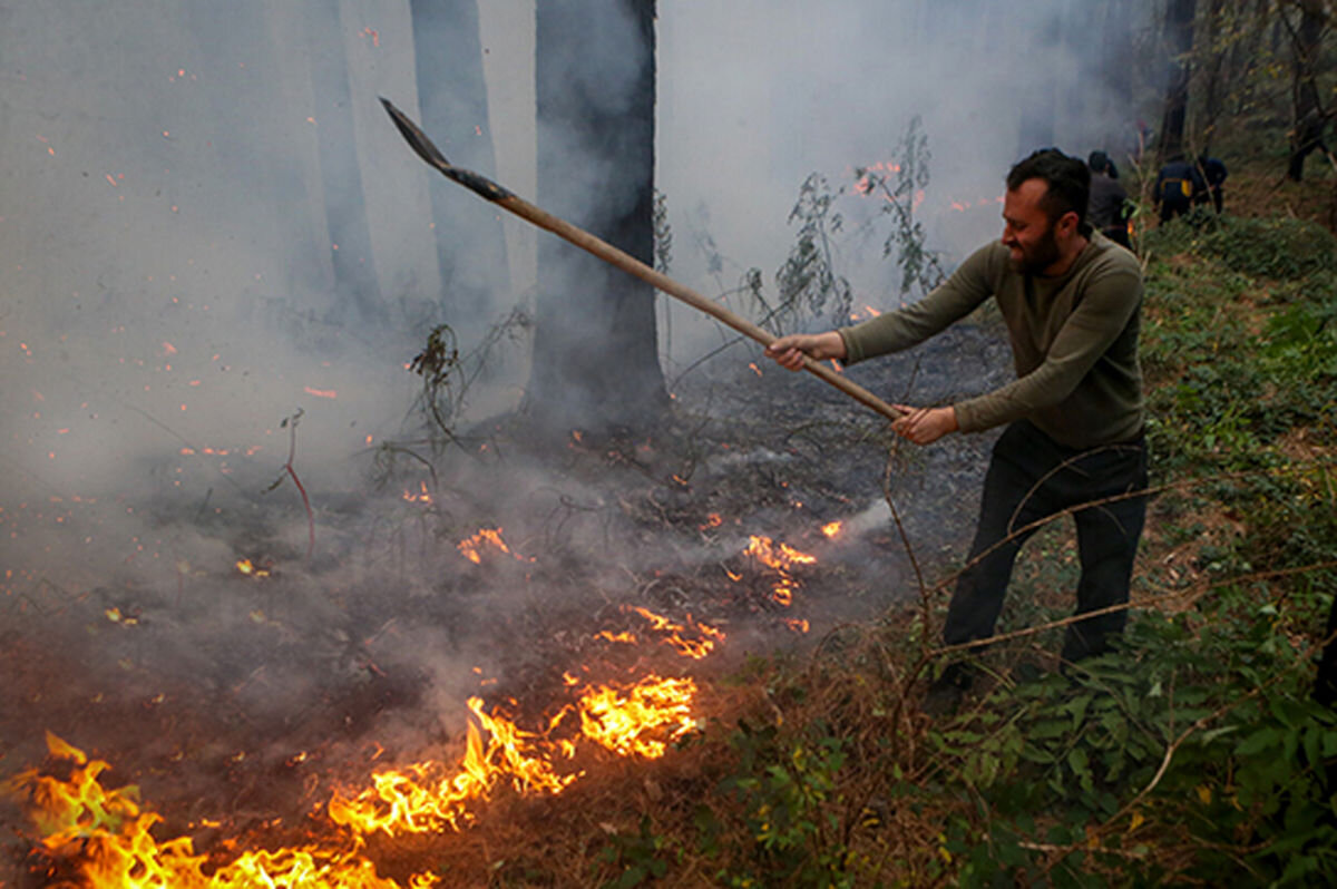 الیت غرق در دود و آتش