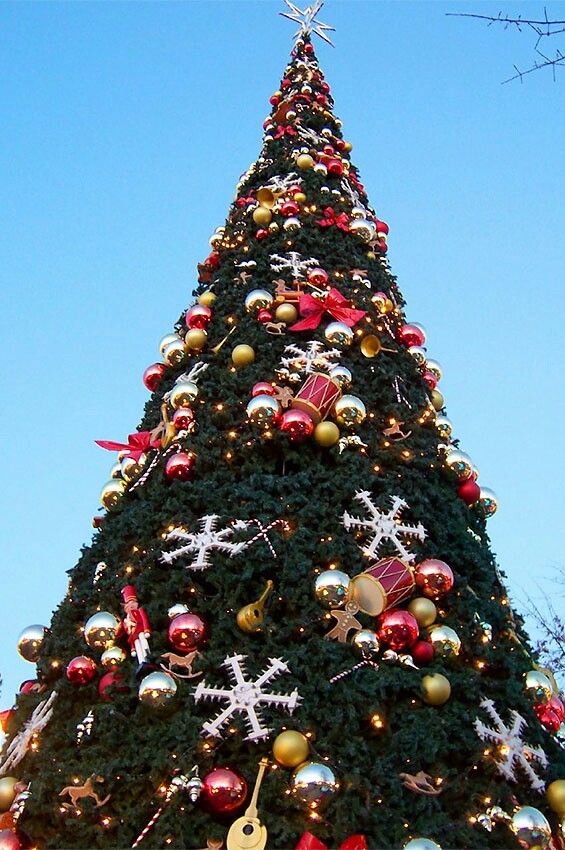 درخت کریسمس خارجی