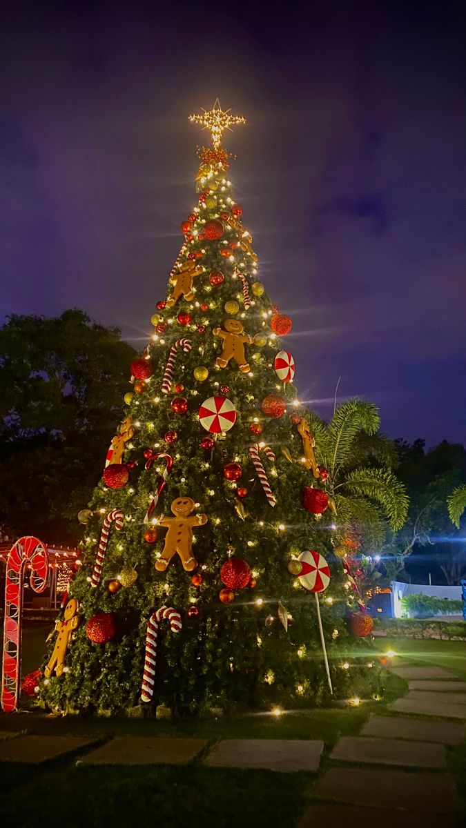 درخت کریسمس بزرگ