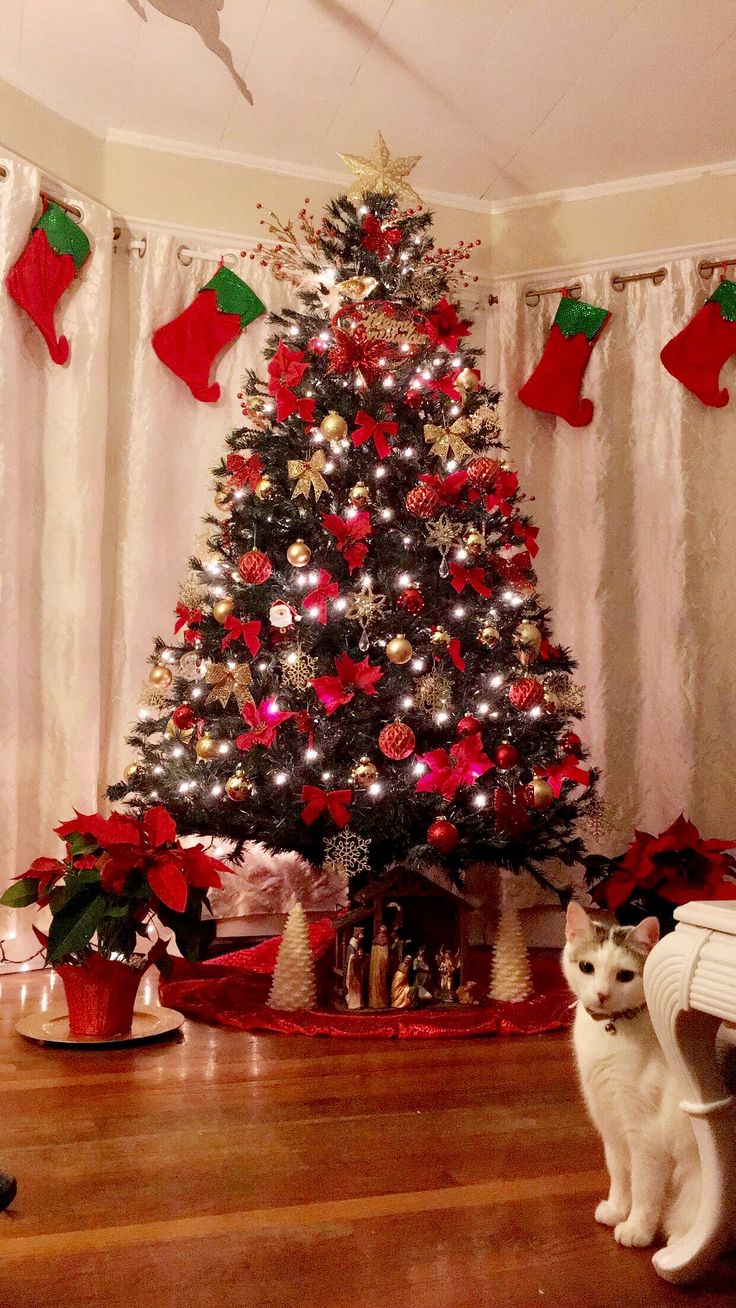 درخت کریسمس پینترست