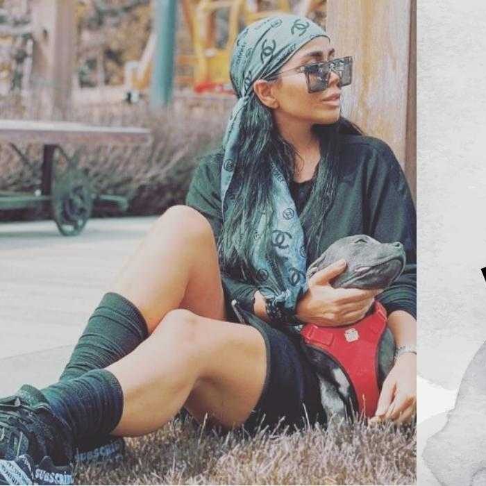 فیلم سوپر مینا نامداری