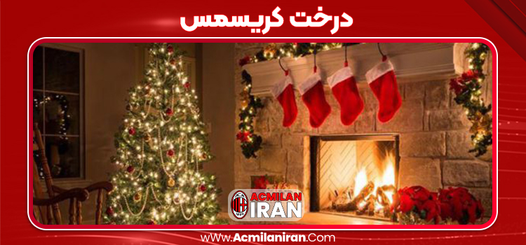 درخت کریسمس
